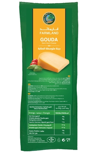 Gouda Cheese Block